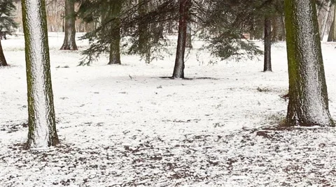 Winter Park outdoor Stock Footage 62451584