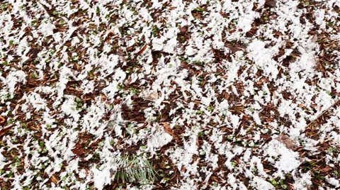Winter Park outdoor Stock Footage 62515282