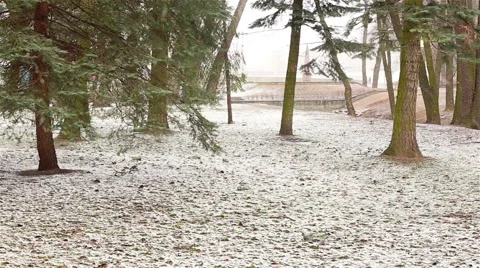 Winter Park outdoor Stock Footage 62552483