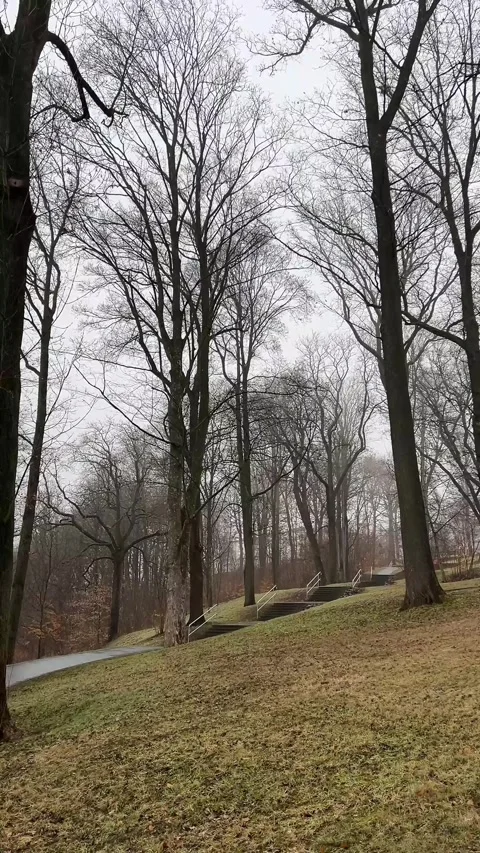 Winter Park Path and Stairs in Auerbach Stock Footage 328927832