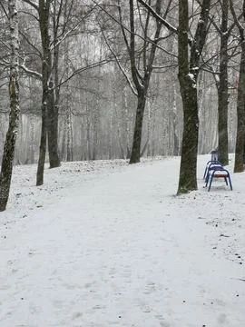 Winter park path with bench and snow Stock Photos