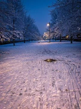 Winter Park Path at Dusk Stock Photos