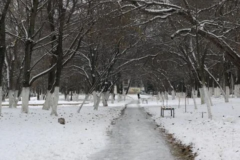 Winter park path perspective Fotos de archivo