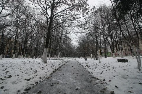 Winter park path perspective Fotos de archivo