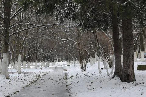 Winter park path perspective winter park path perspective ,model released,... Fotos de archivo