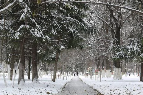 Winter park path perspective winter park path perspective ,model released,... Fotos de archivo