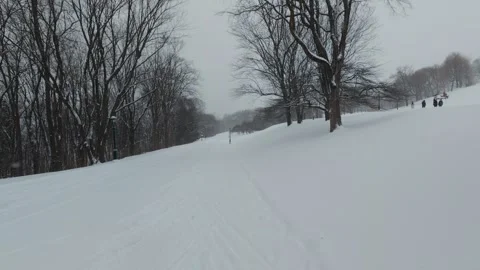 Winter Park Path Surrounded by Leafless Trees 스톡 동영상 323423670