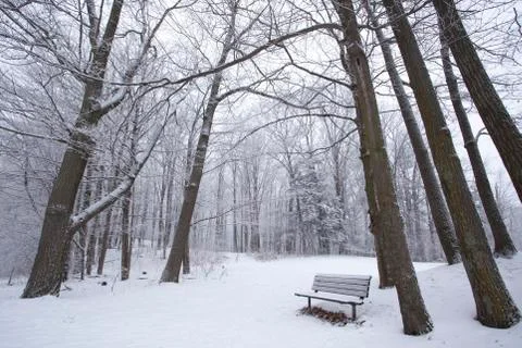Winter in a Park Stock Photos