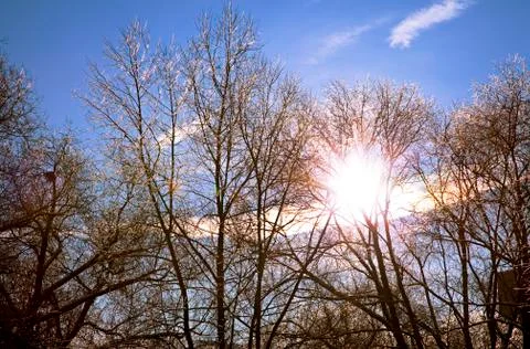 Winter park Foto stock