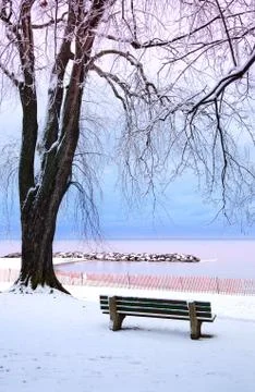Winter park Stock Photos