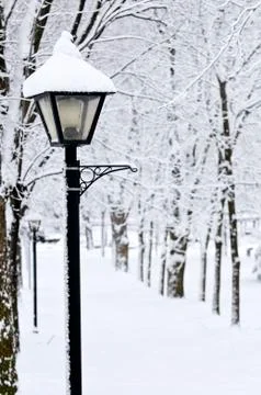 Winter park Stock Photos