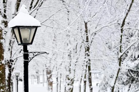 Winter park Stock Photos