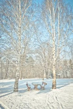 Winter park Foto stock