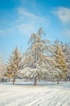 Winter park Foto stock