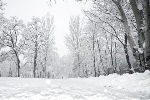 Winter park Stock Photos