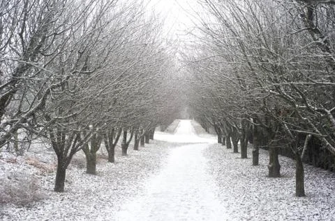 Winter park Foto stock