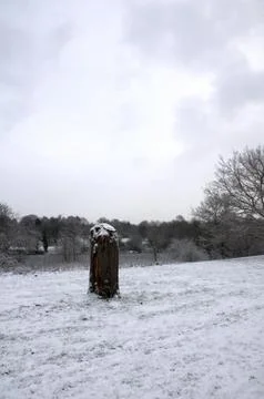 Winter park Stock Photos