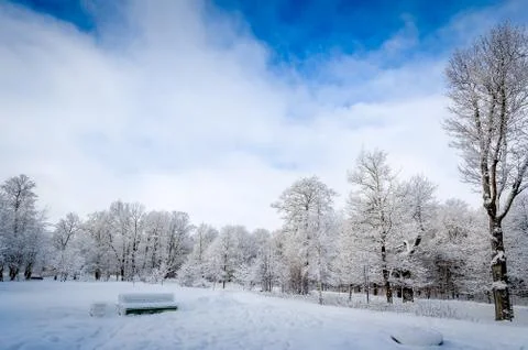 Winter park Stock Photos