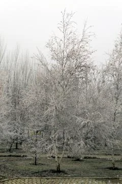 Winter park Stock Photos