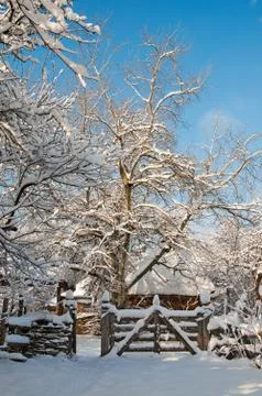 Winter park Stock Photos