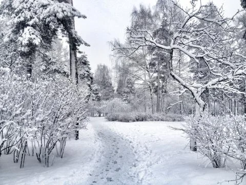 Winter park Stock Photos