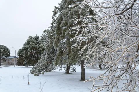 Winter park Stock Photos