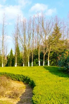 Winter Park Stock Photos