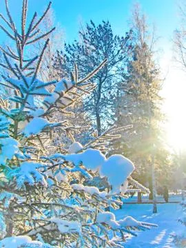 In Winter Park Foto stock