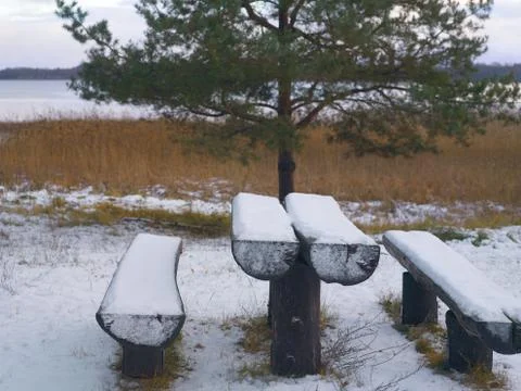 In Winter Park Photos