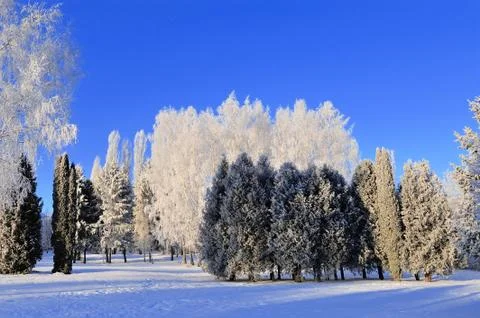 Winter park Foto stock