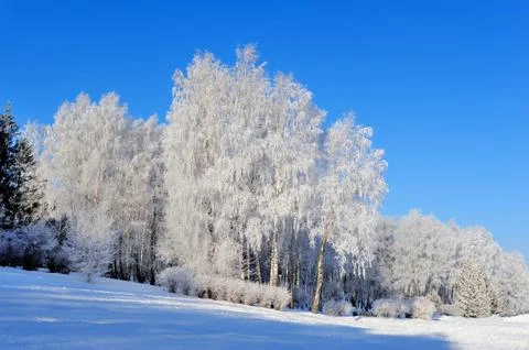 Winter park Foto stock