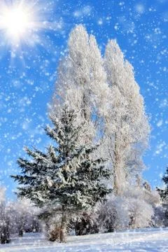 Winter park Stock Photos