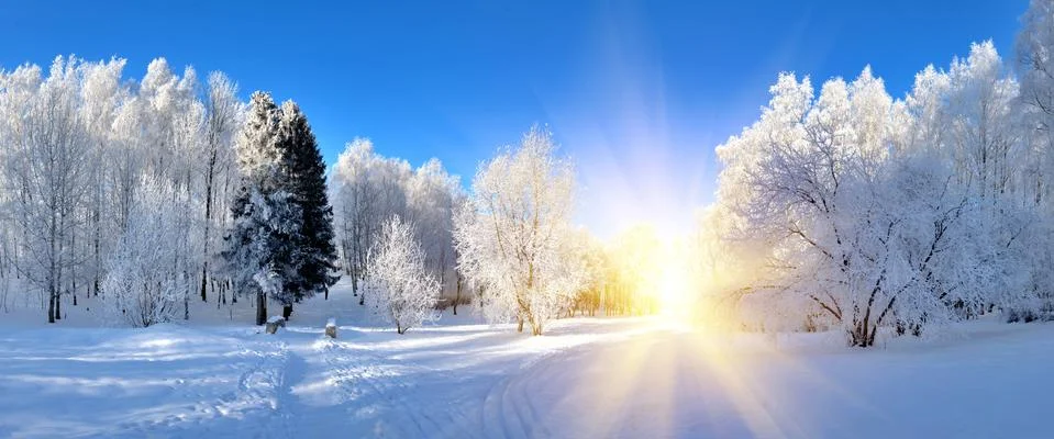 Winter park 스톡 사진