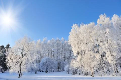 Winter park Fotos de archivo