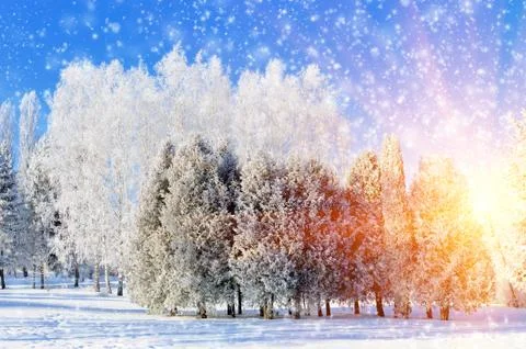 Winter park Foto stock