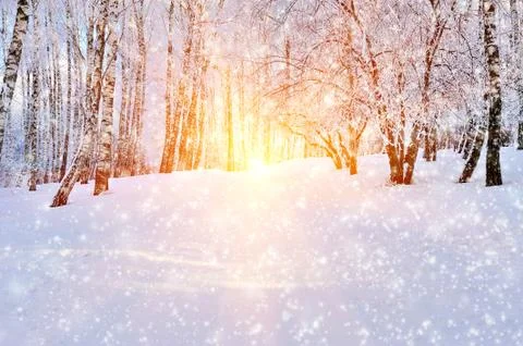 Winter park Fotos de archivo