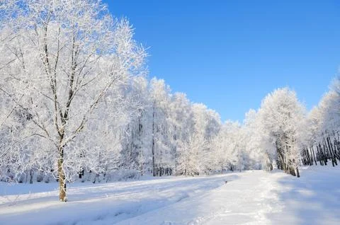 Winter park Stock Photos