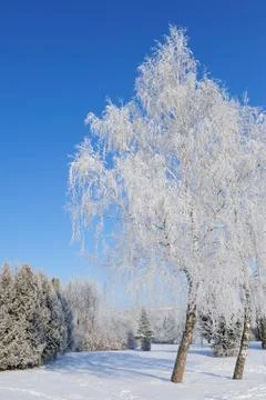 Winter park Foto stock