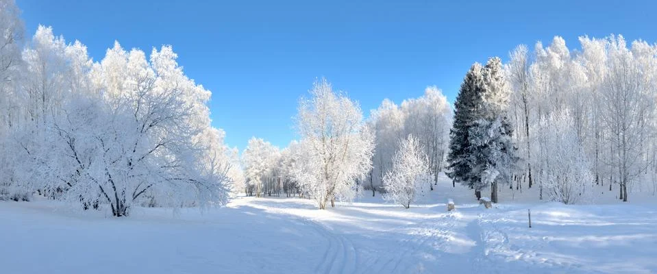 Winter park 스톡 사진