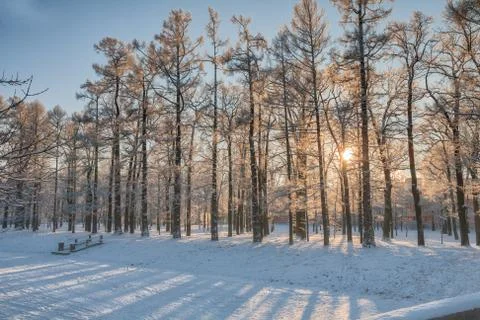 Winter in park Stock Photos