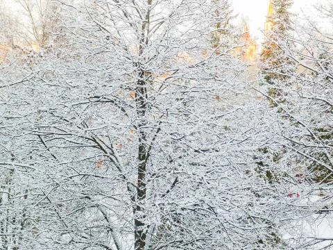 Winter in the Park Stock Photos