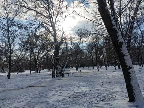 Winter park Fotos de archivo