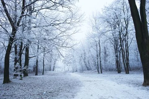 Winter park Stock Photos