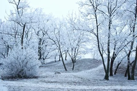 Winter park Stock Photos