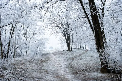 Winter park Stock Photos