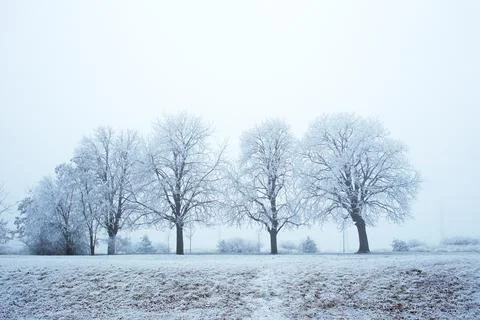 Winter park Stock Photos