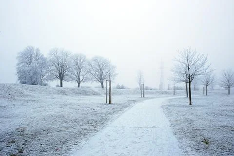 Winter park Stock Photos