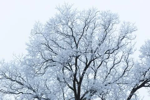 Winter park Stock Photos