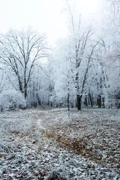Winter park Stock Photos