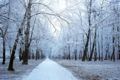 Winter park Stock Photos